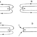 ScreenHunter_02 Mar. 05 05.48