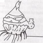 best click series best ict books in ghana wassce science 2014 bulb